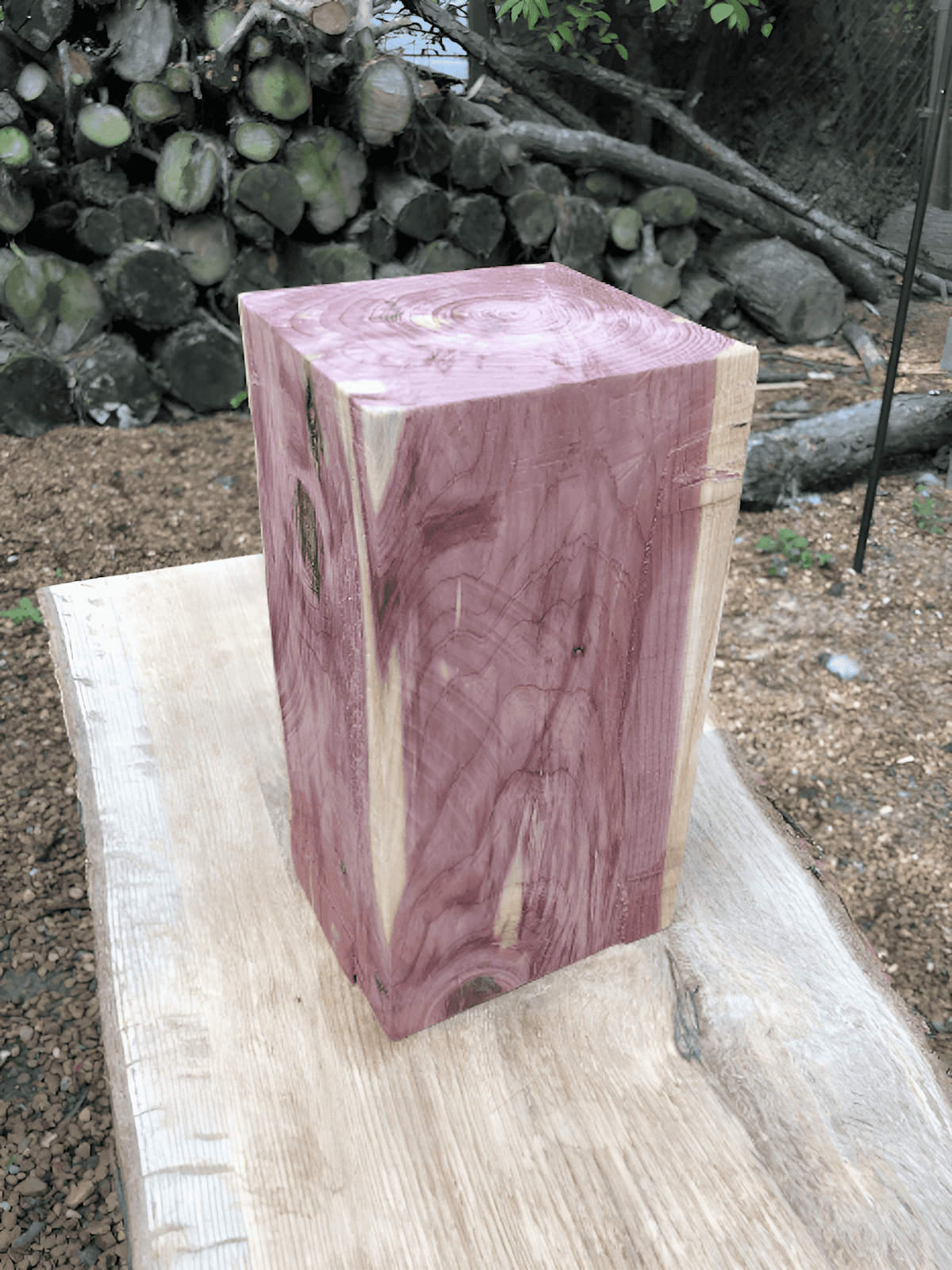 A single block of western red cedar ready for chainsaw carving