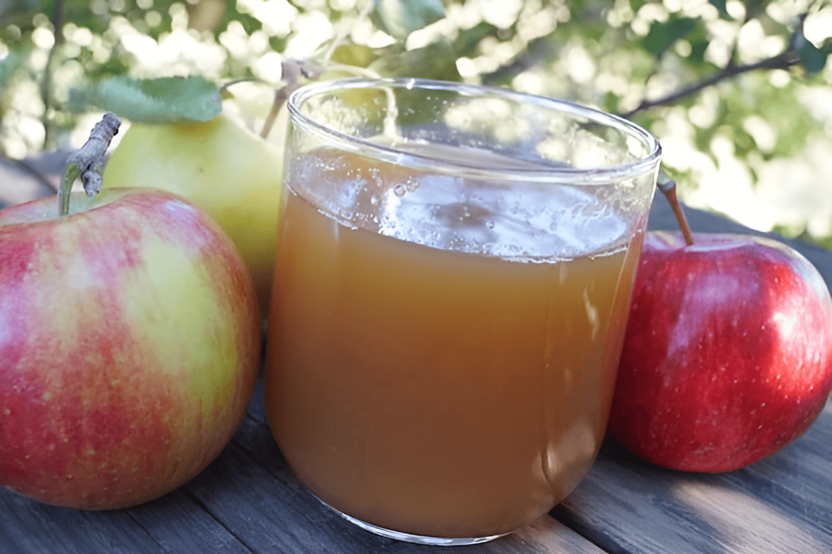 homemade apple cider in a glass mug surrounded by fresh apples