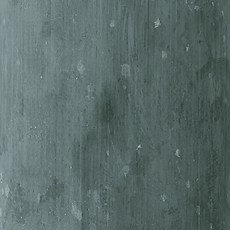 bark of a mature bamboo