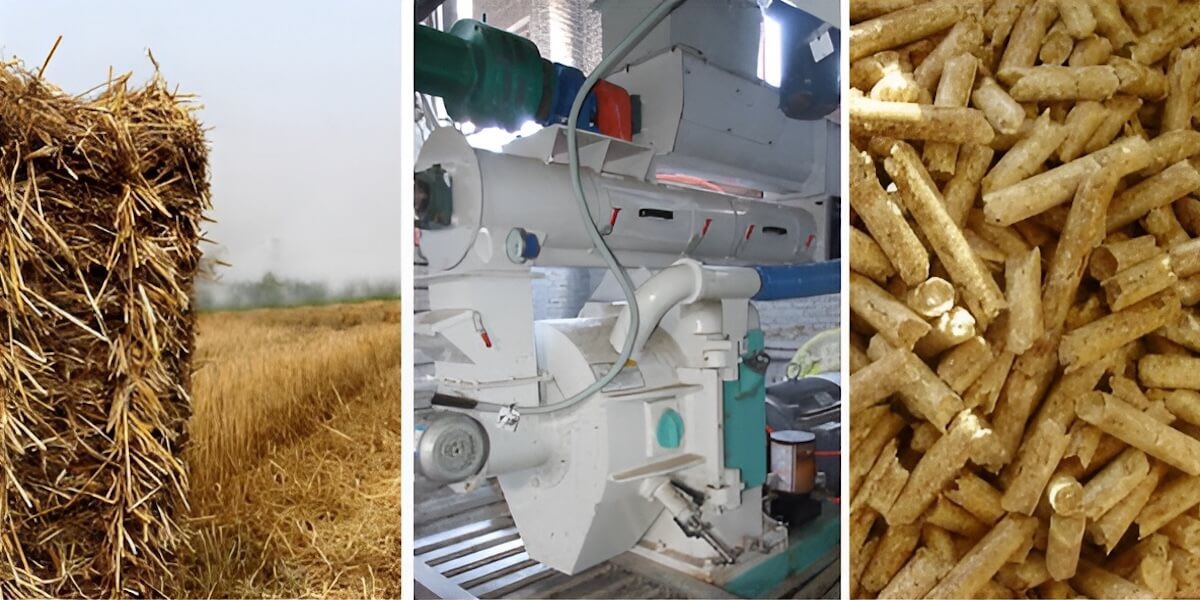 Barley straw biomass baled and used for renewable energy, bedding, mulch, and agricultural systems