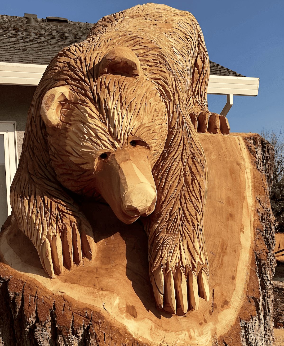 Chainsaw carved bear sculpture from a single log