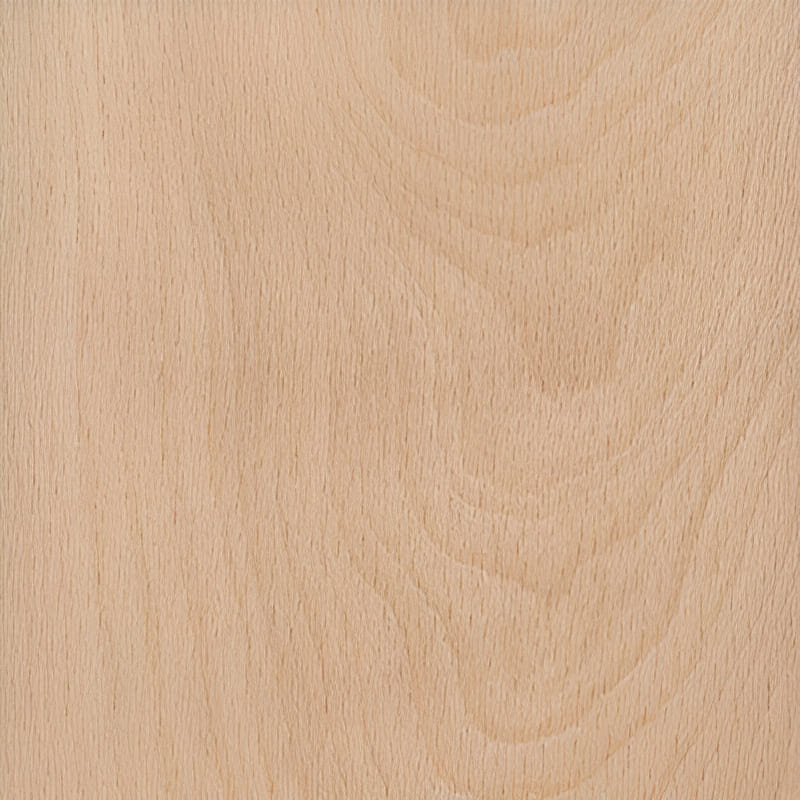 beech wood showing grain pattern