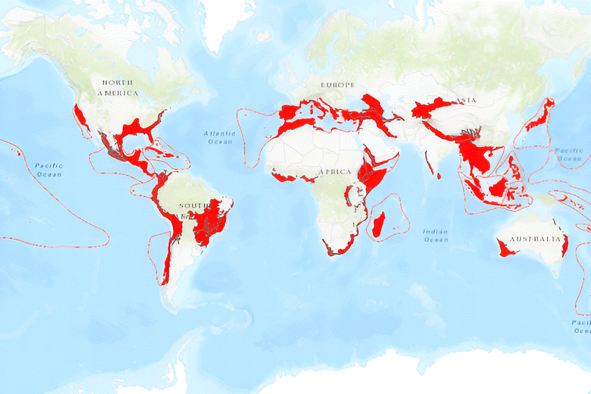 Global map of biodiversity hotspots showing the world’s most threatened regions of endemic species richness across the Americas, Africa, Asia, and island ecosystems