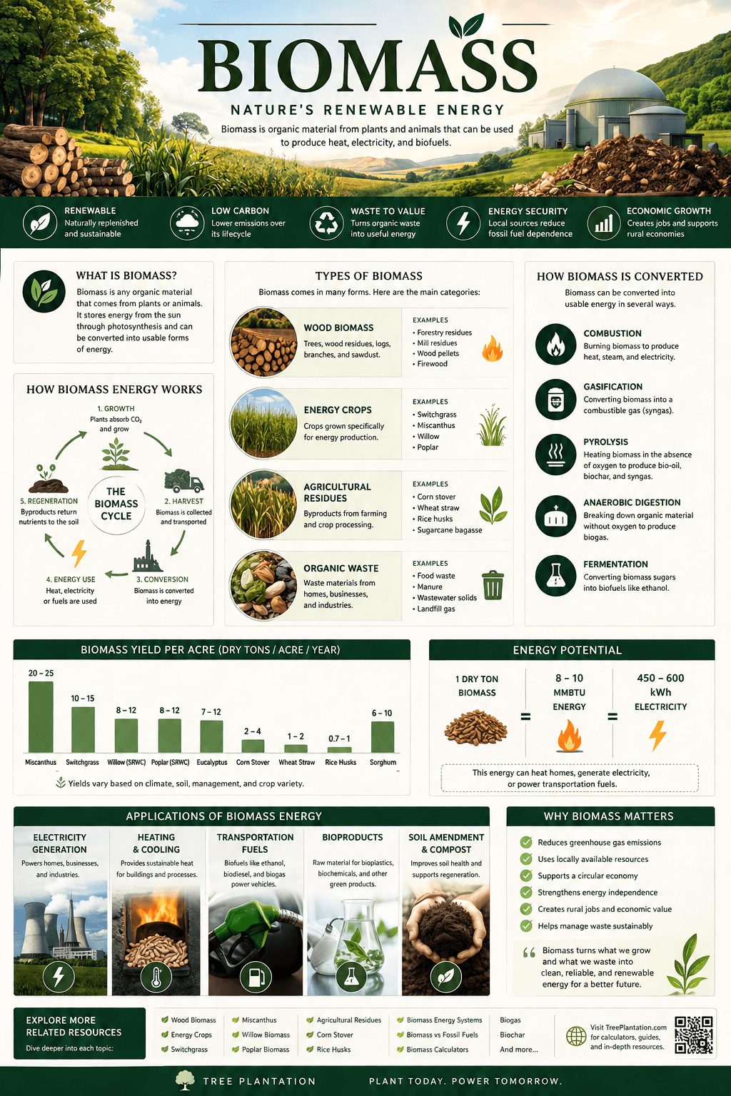 Biomass infographic explaining biomass types, biomass yield per acre, energy potential, conversion methods, applications, benefits, and the biomass calculator.