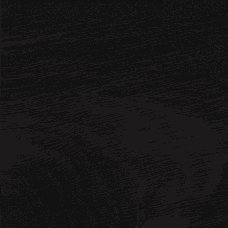 rare and expensive black ebony wood