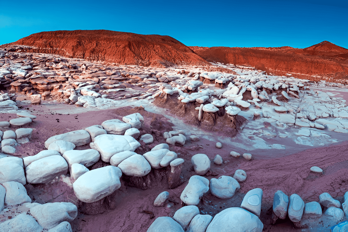 Blue and purple banded badlands and petrified wood at Blue Mesa