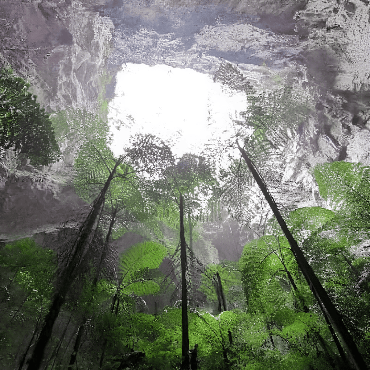 forest of trees growing inside a giant karst sinkhole in China