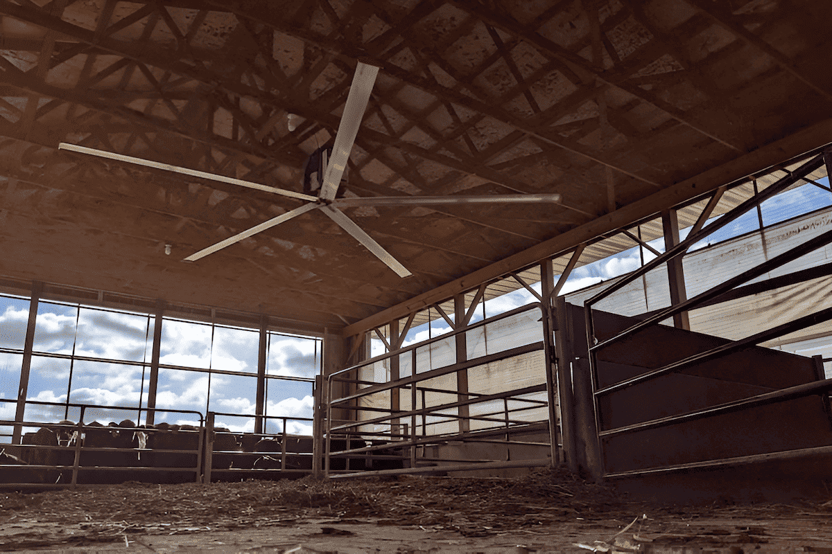 large commercial ceiling fan circulating air in an agricultural post-frame barn