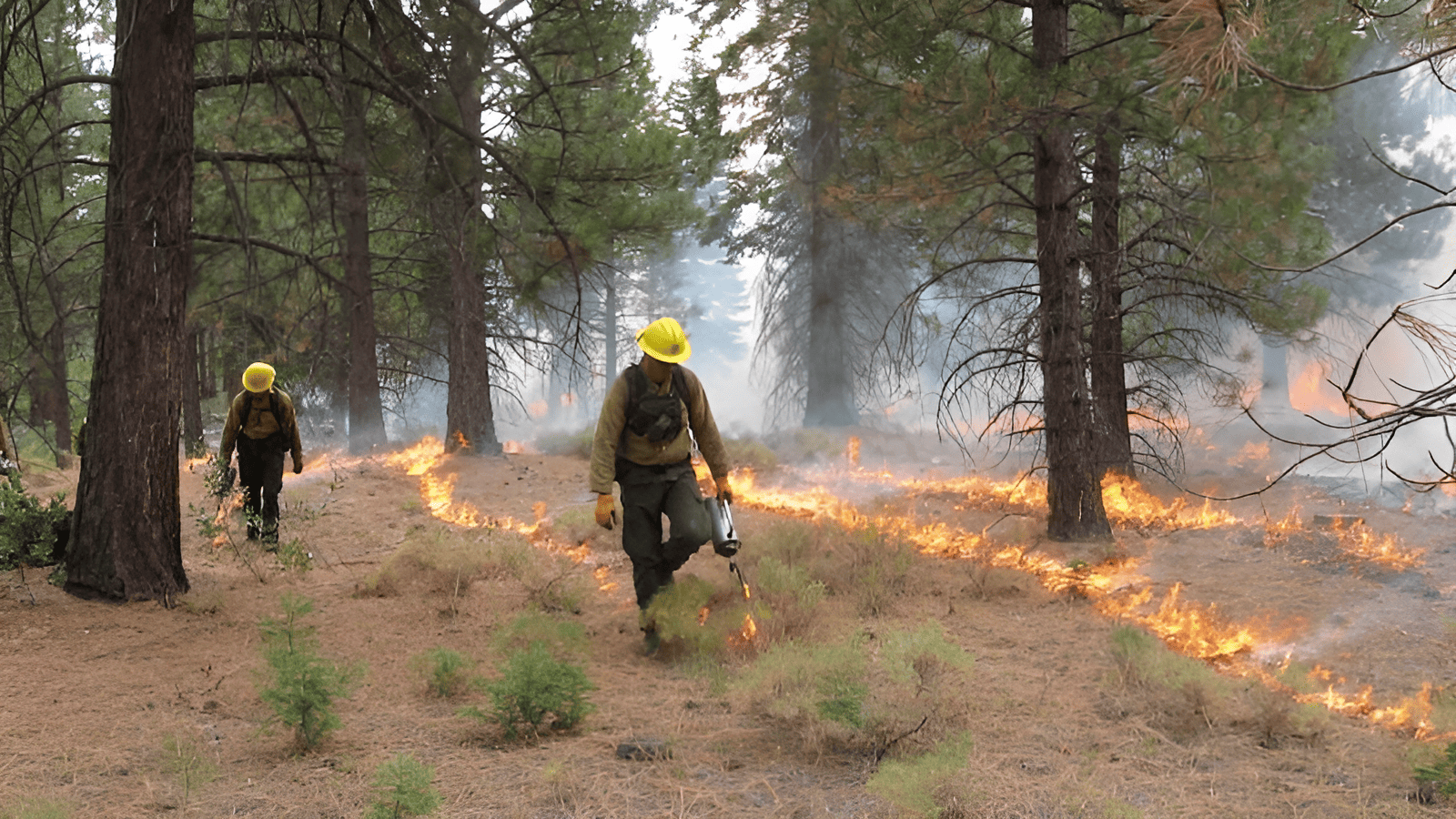 starting a fire to prevent a fire
