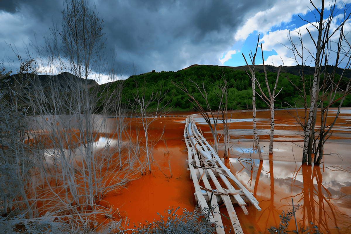 copper-based wood preservatives on pressure treated lumber