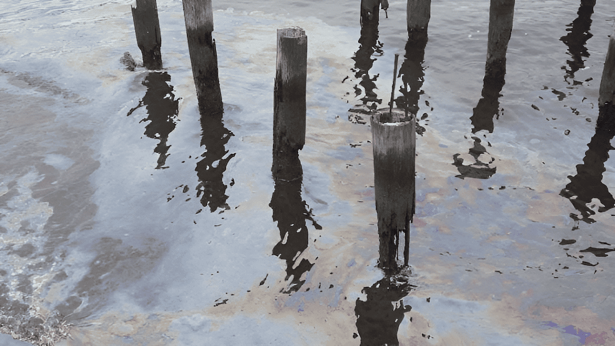 creosote treated fence posts with environmentally damaging preservatives