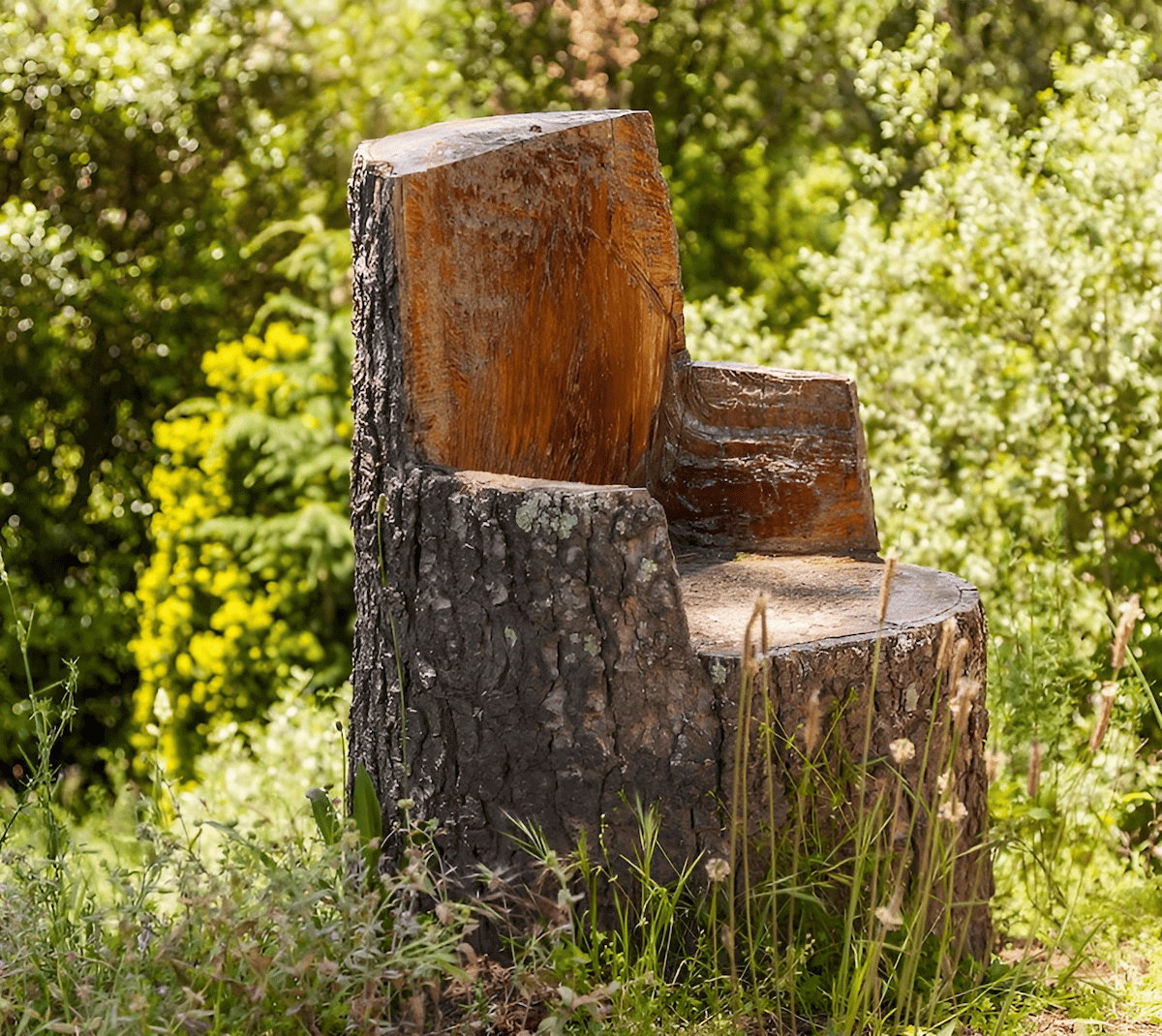 Carving an outdoor chair from a tree stump with a chainsaw