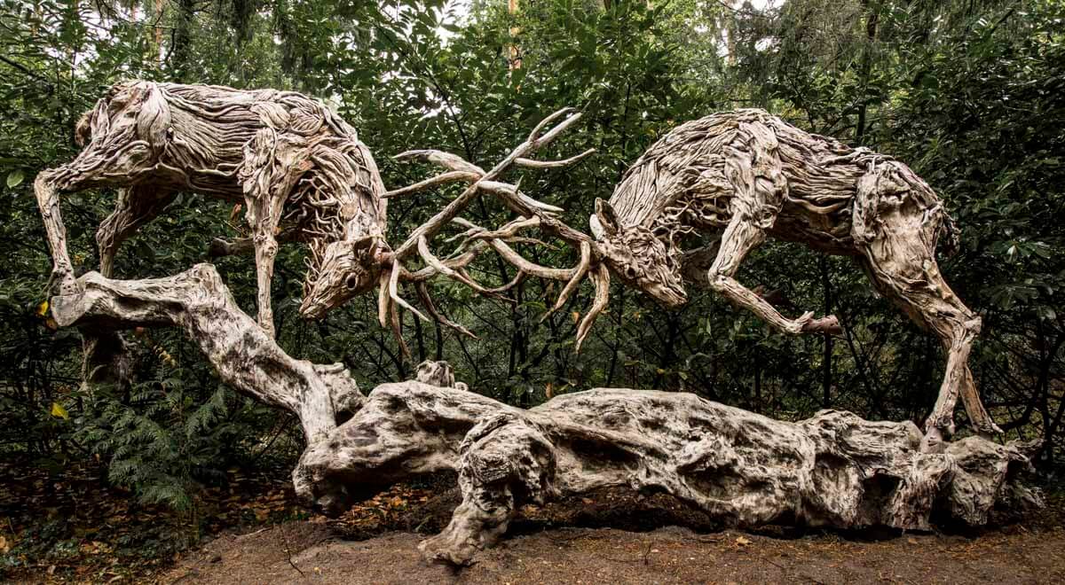 Driftwood sculpture of two deer with intertwined antlers crafted from natural weathered wood in forest setting