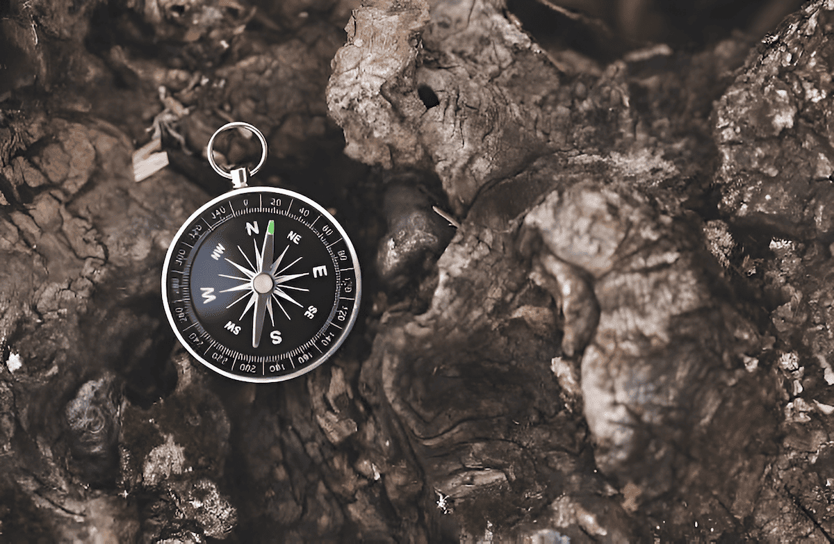 how to navigate in a forest without a compass