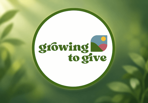 Growing To Give — Spiral Forest Tree Accelerator
