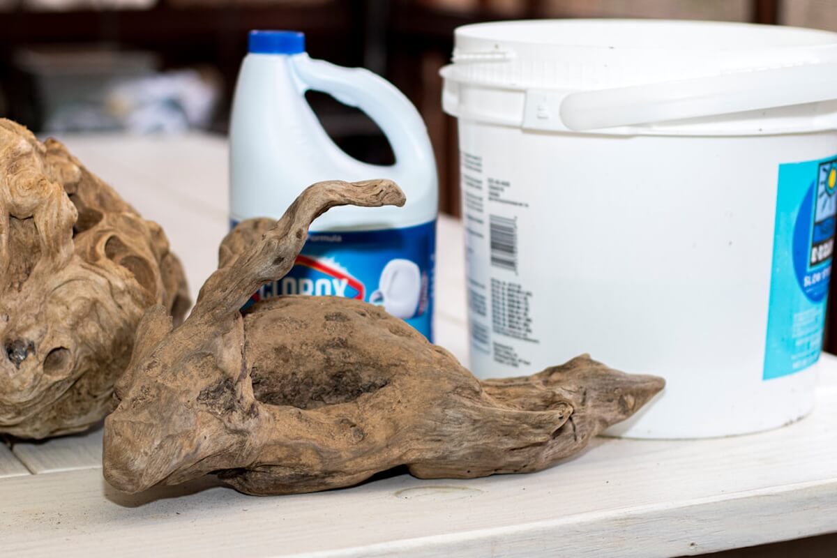 Driftwood being cleaned and prepared using bleach solution and soaking bucket for safe use
