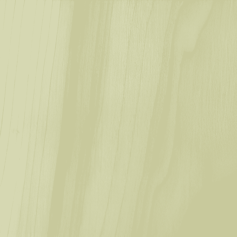 hybrid poplar wood used for flooring underlay and furniture