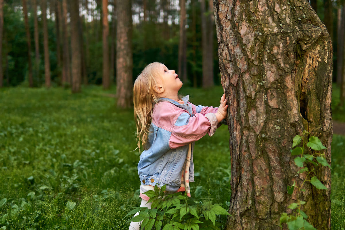 Legacy forest planted as a living asset for children and future generations