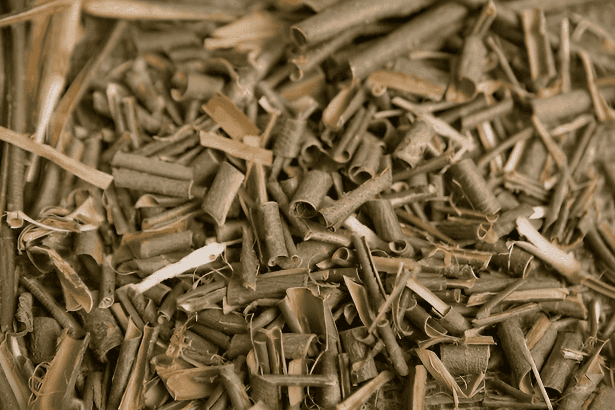 willow bark and its medicinal properties