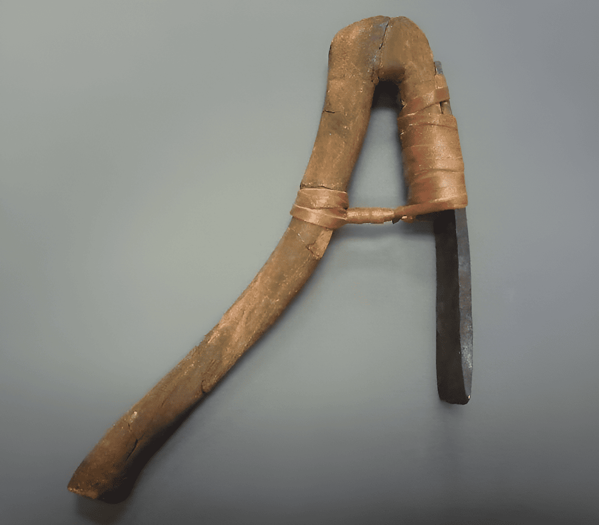 a versatile adze tool used in medieval carpentry
