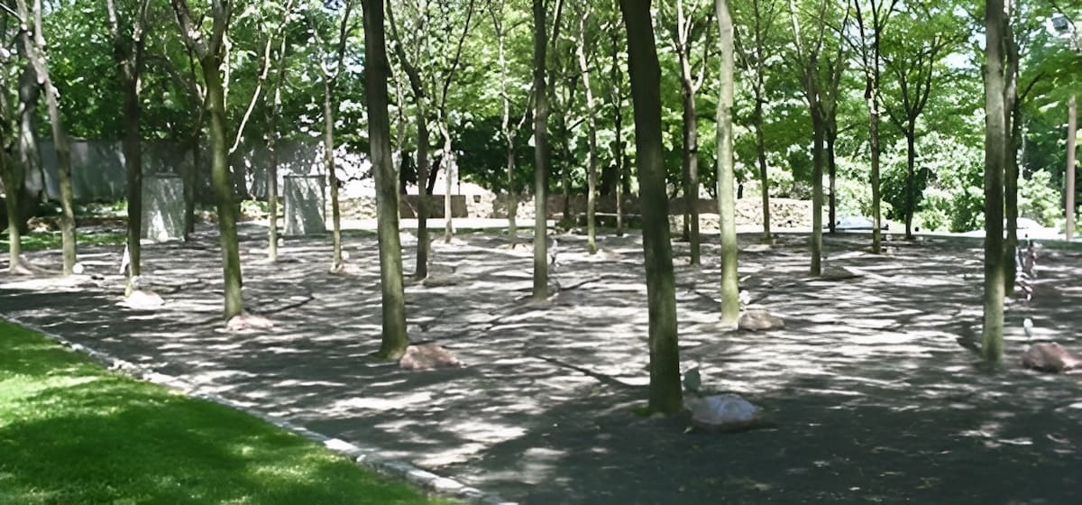 a communal space created by a grove of memorial trees