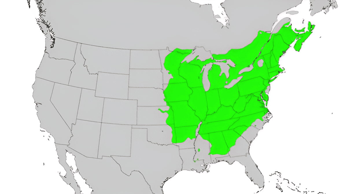 growing zones for oak trees in eastern north america