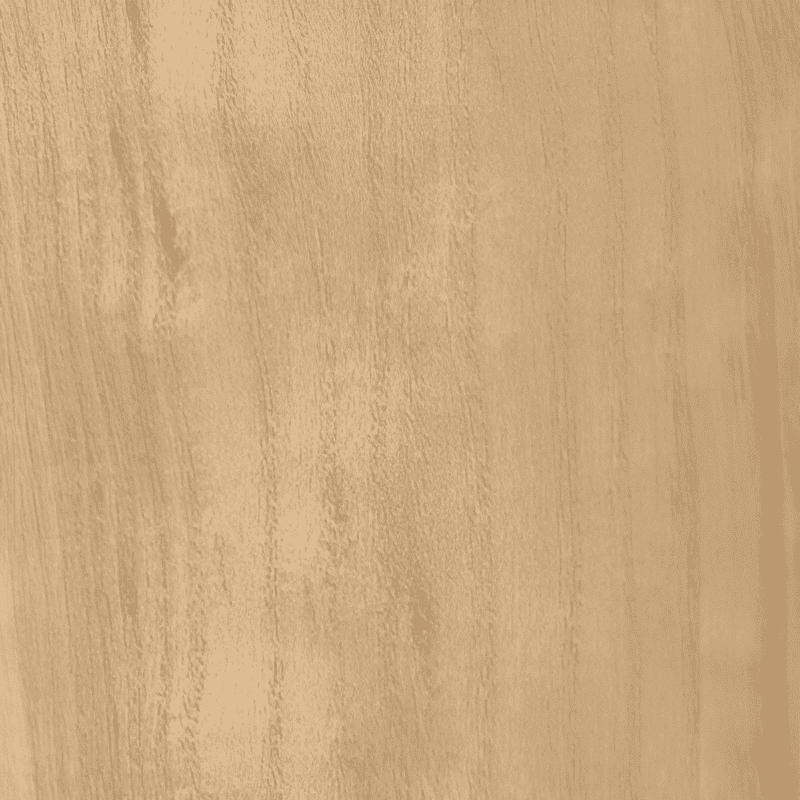 paulownia empress tree bark