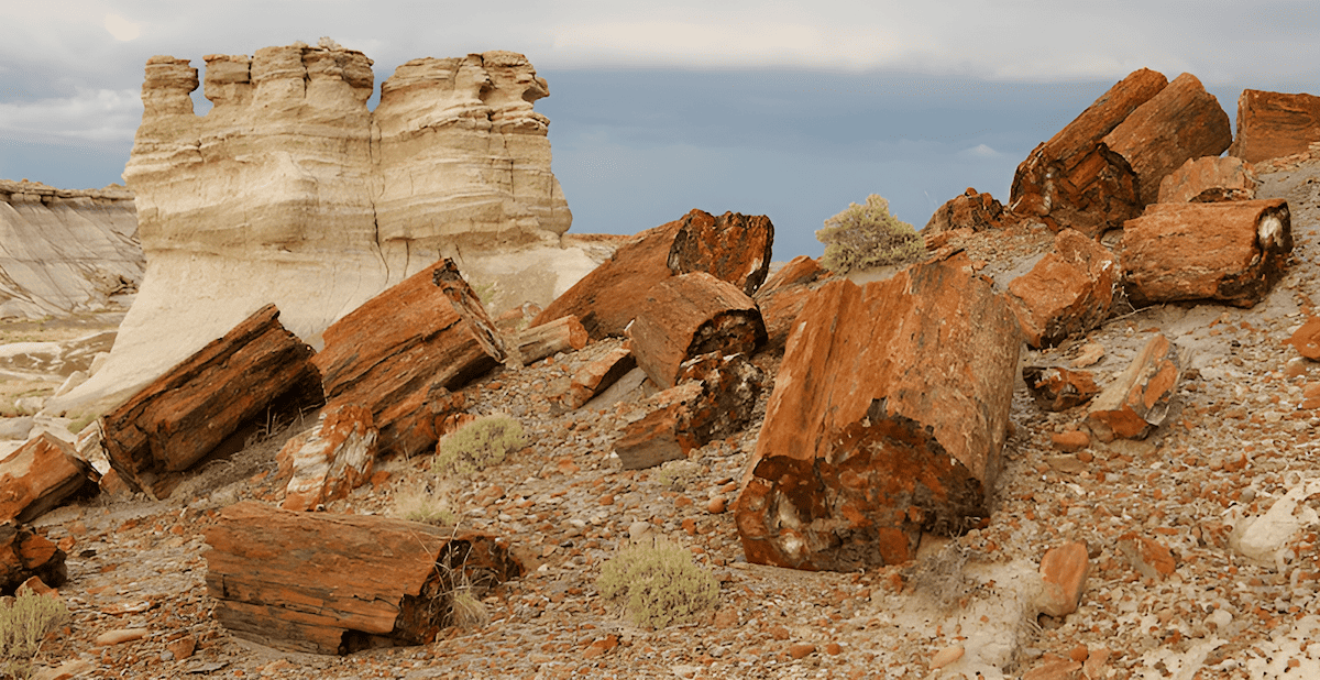 Petrified Forest National Park in Arizona with fossilized logs from the Triassic Period