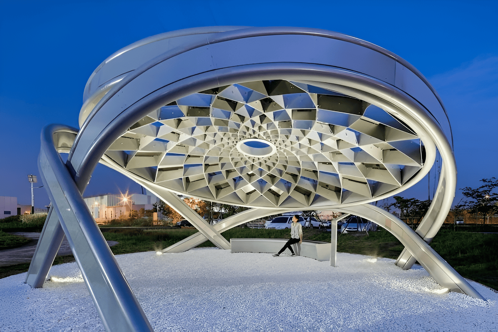 pine tree solar installation providing renewable energy