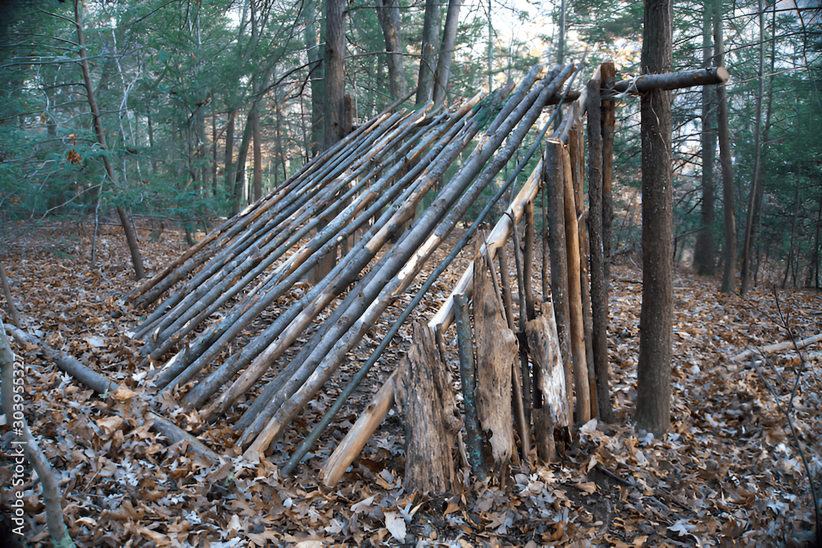 building a wood lean-to shelter with branches in the forest