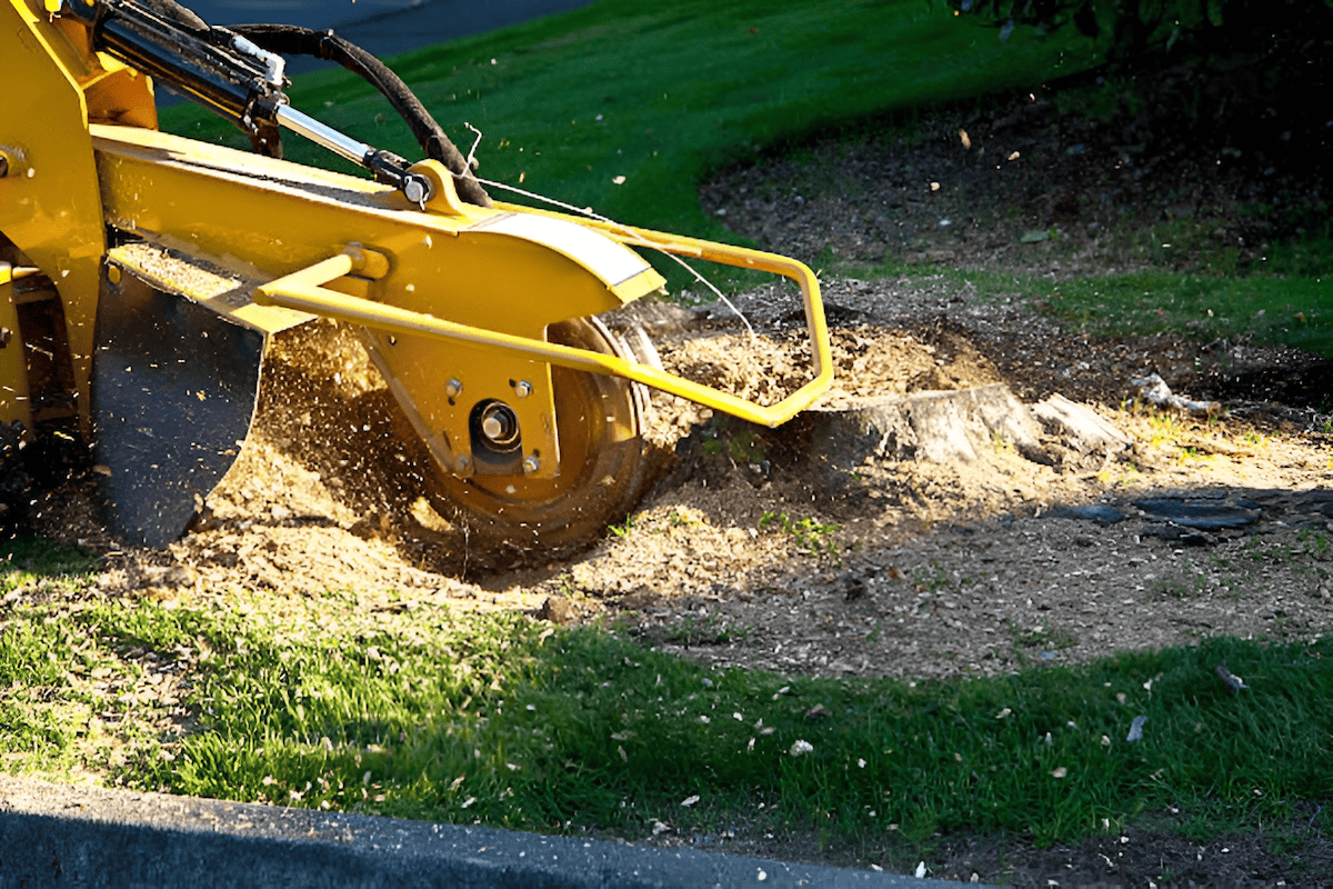 stump grinding machine removing a tree stump after tree removal