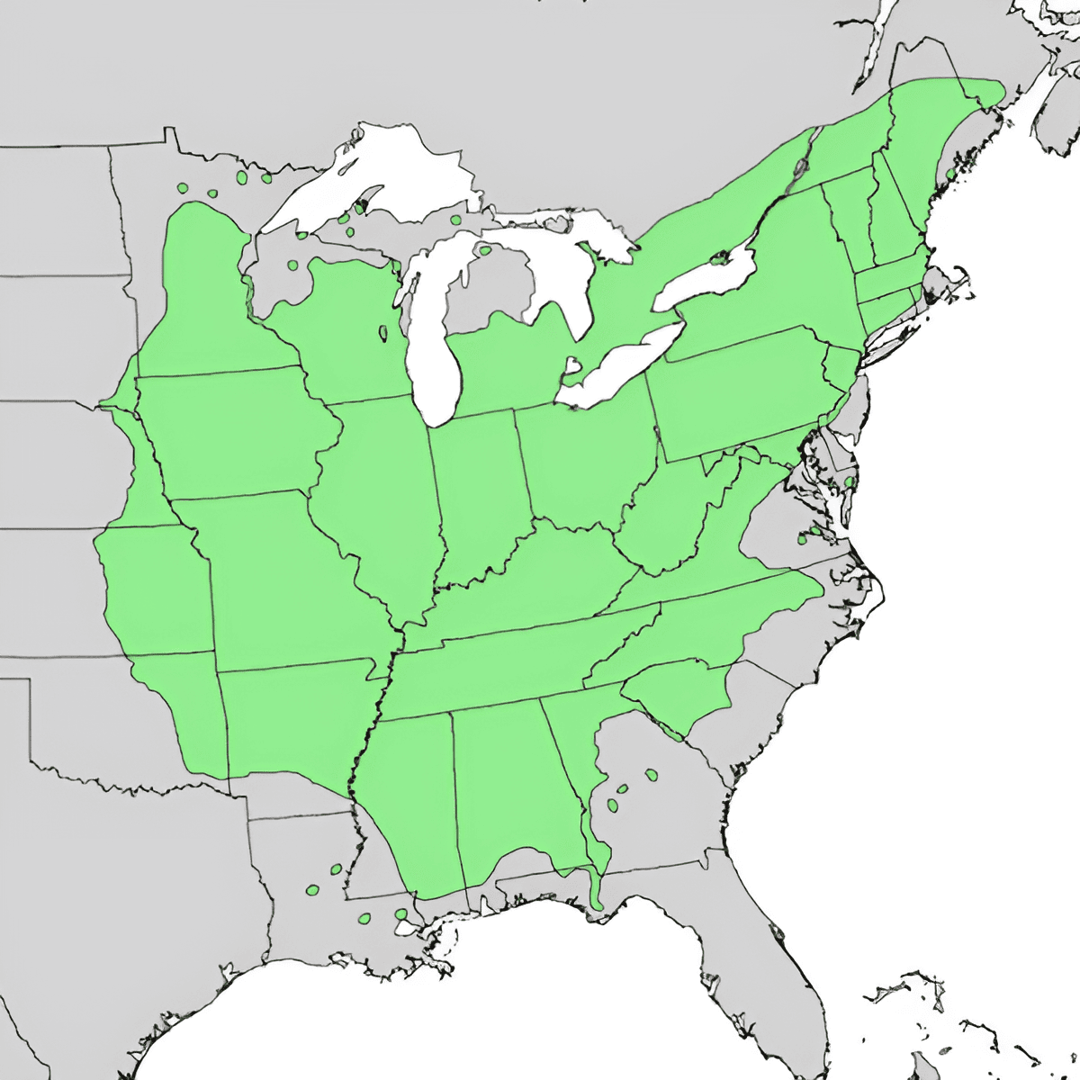 North American growing zone map for sugar maple trees