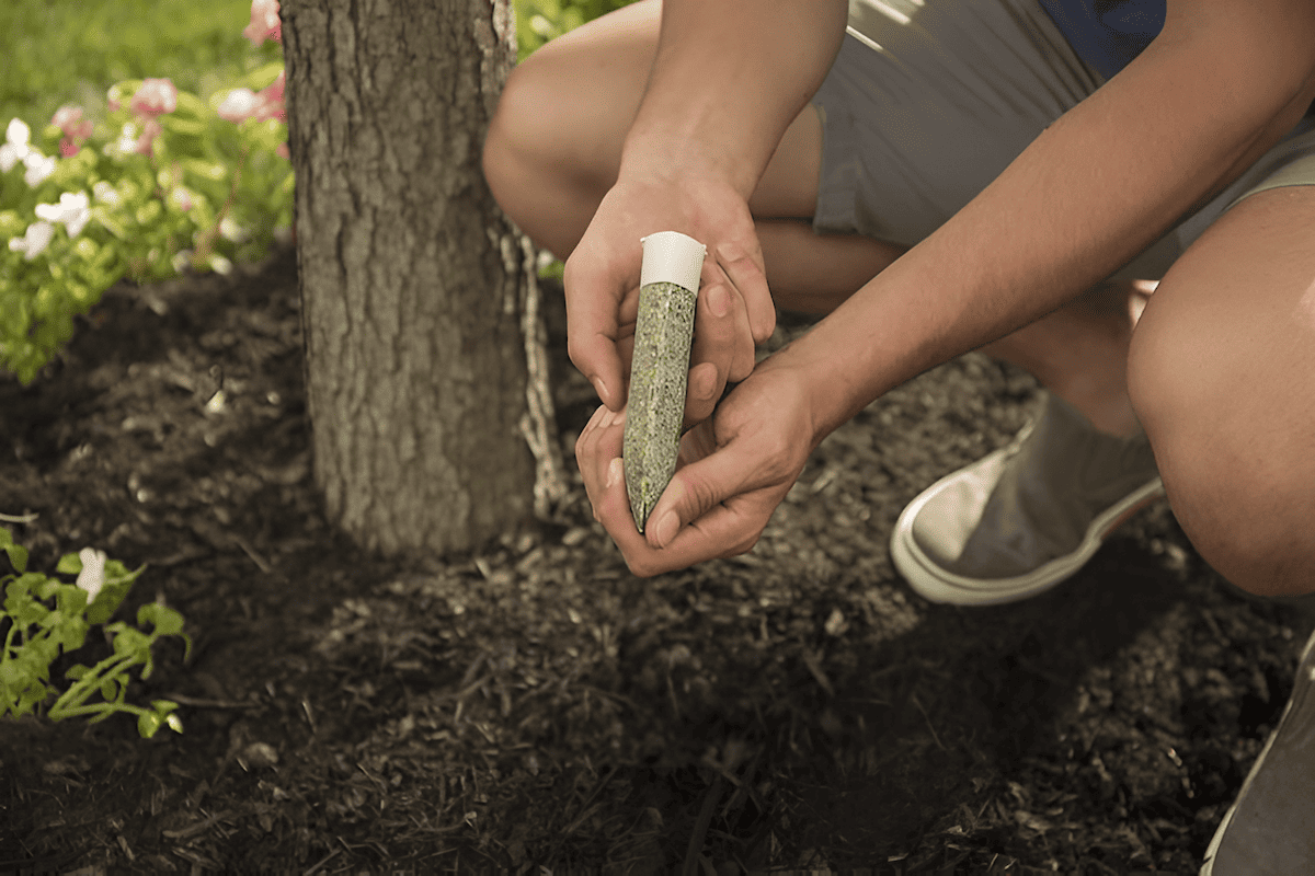 synthetic tree feeding stakes driven into the root zone