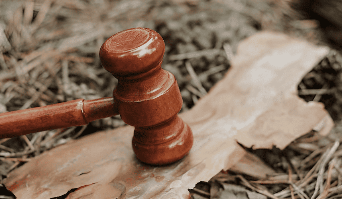 legal justice for trees and forests