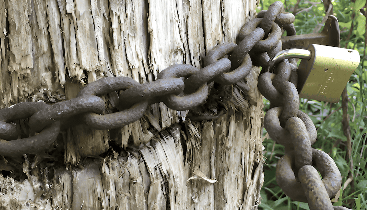 community rights and legal protections for a forest