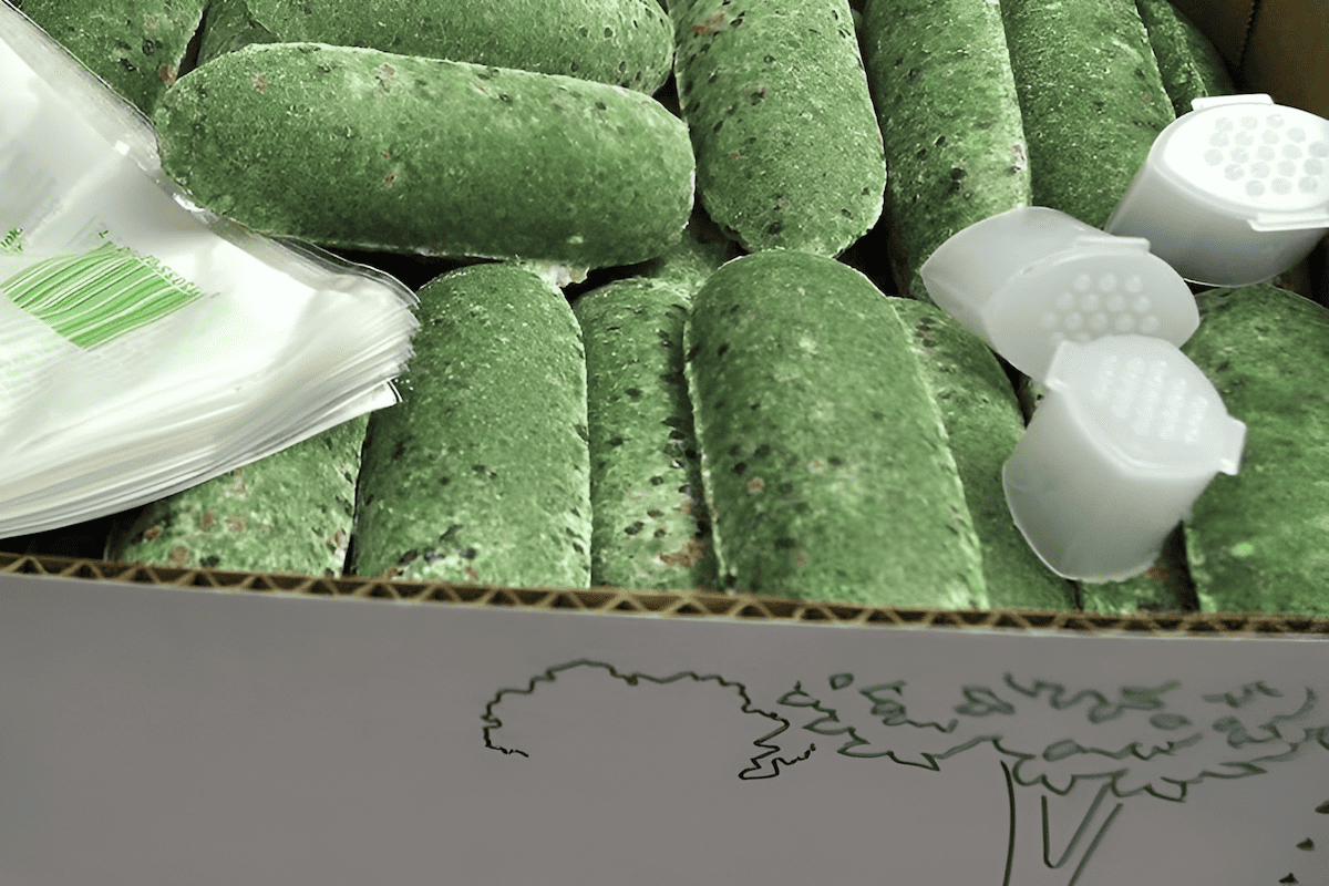 ornamental tree fertilizing stakes placed around dripline