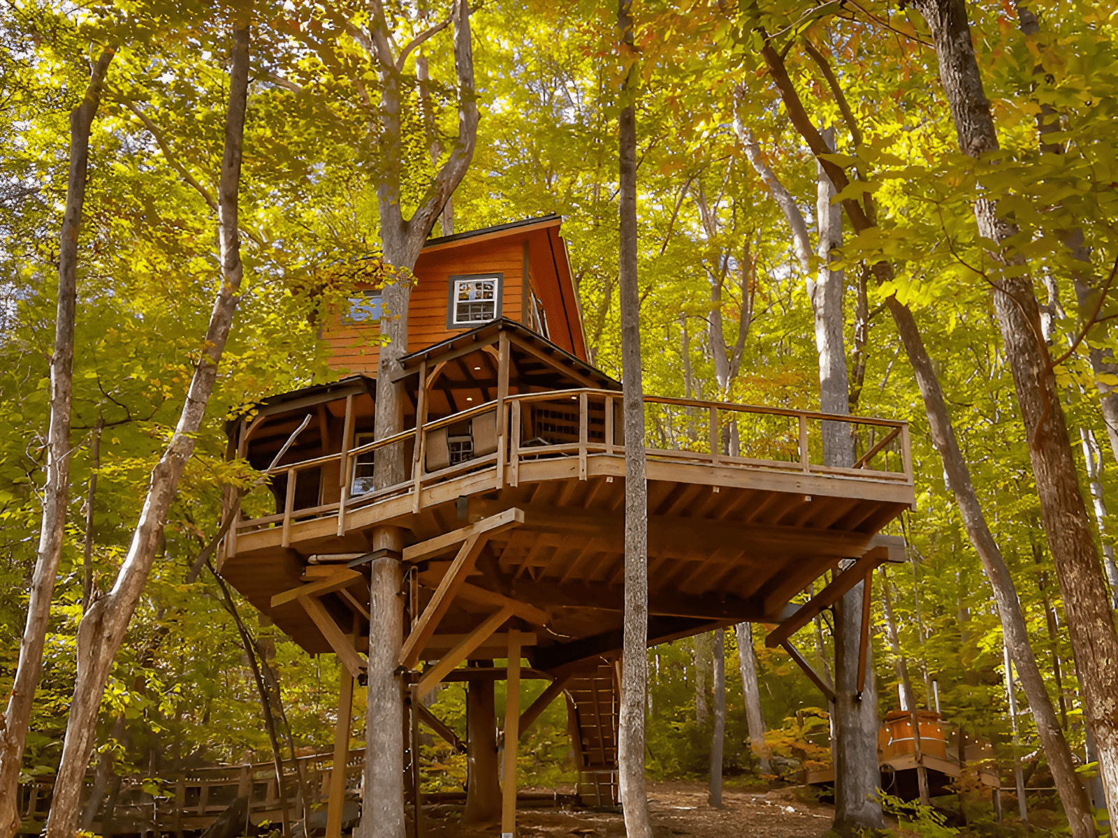 treehouses nestled among the trees