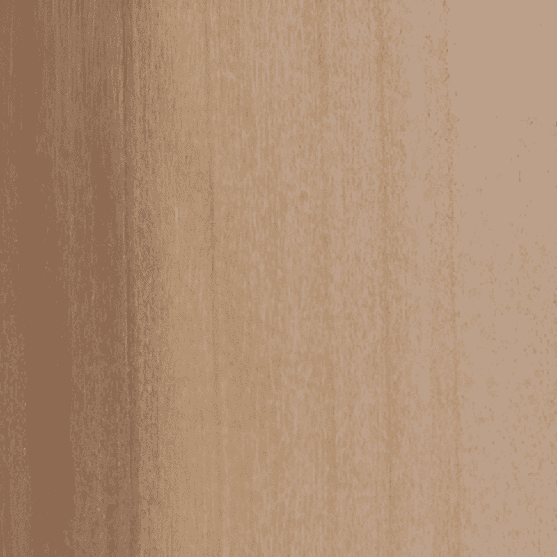 wood of a willow tree