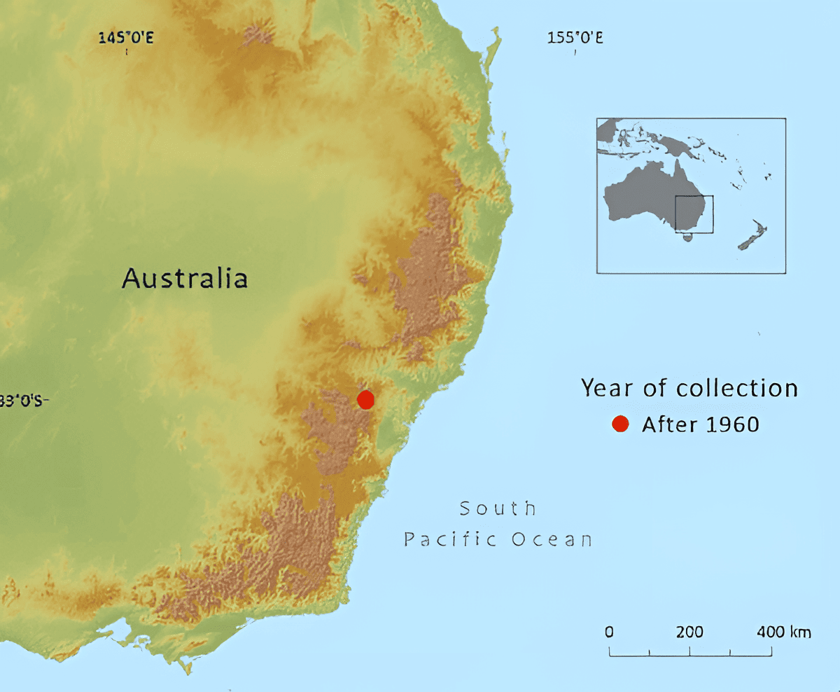 map showing native Wollemi pine location in Wollemi National Park, Australia