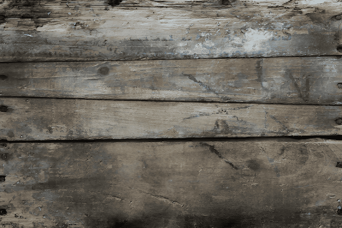 wood plank decor on walls and ceilings