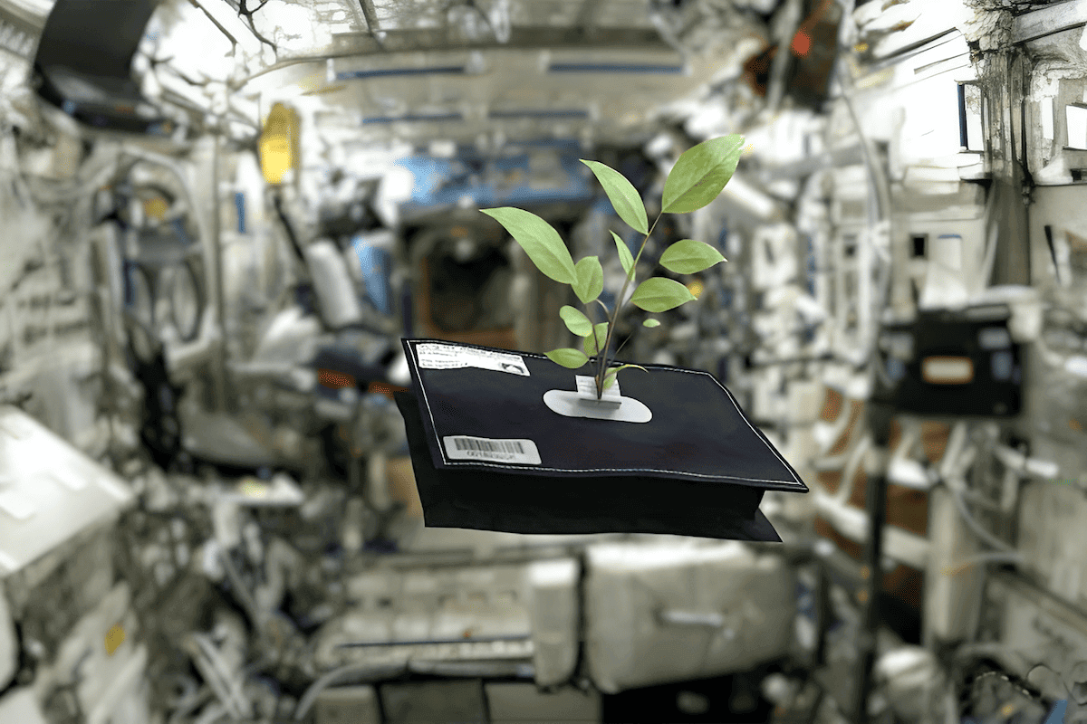 Growing zero gravity trees inside a space station habitat